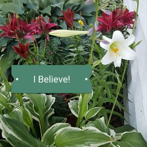 Meet your Posher, Rosalie